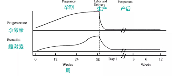 微信图片_20210511141850