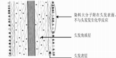 微信图片_20240508101607