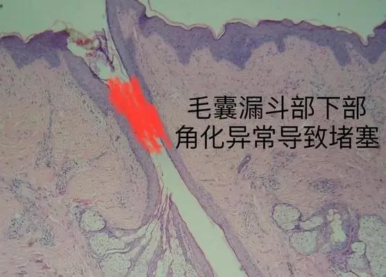 图片24